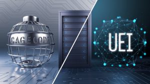 cage code and uei differences